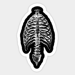 To The Bones Torso Skeleton Skeletal Corpse Chest Sticker